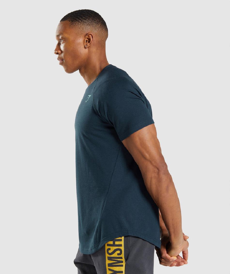 Gymshark Bold Muške T Shirts Tamnoplave | HR 2398XYU